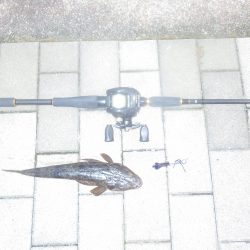 舞鶴～宮津ランガン（２日目）