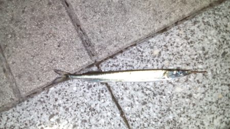 こんなはずでは.....