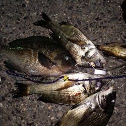 小さいが快釣！！