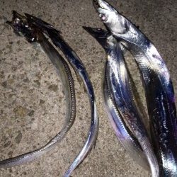 太刀魚釣り