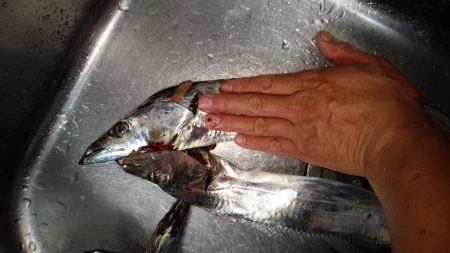 釣れるか！ドラゴン！！