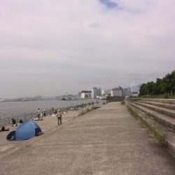 南芦屋浜のサヨリちゃん☆