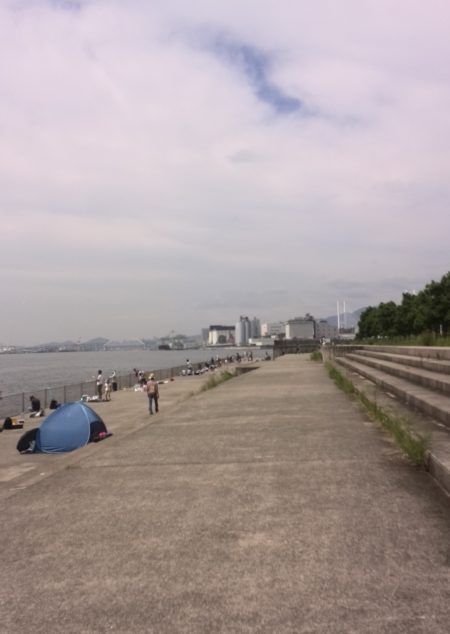 南芦屋浜のサヨリちゃん☆