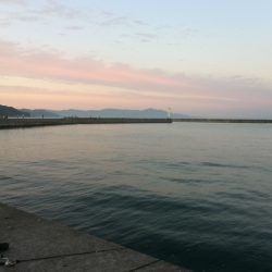 淡路島1日目☆カワハギ♪