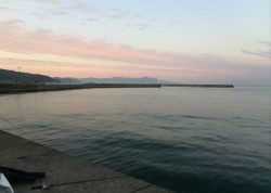 淡路島1日目☆カワハギ♪