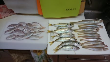 キスの連がけ！