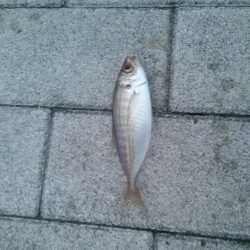 コスモスクエア