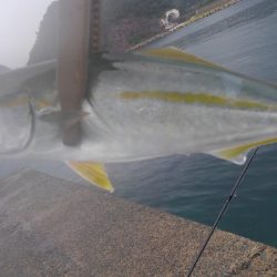 日本海どしゃ降り