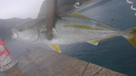 日本海どしゃ降り