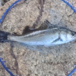 いい天気なのに！