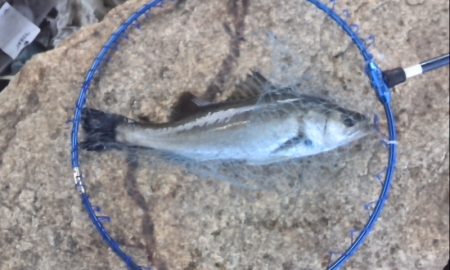 いい天気なのに！