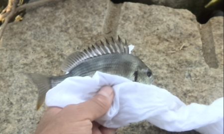 SW二度目の釣行