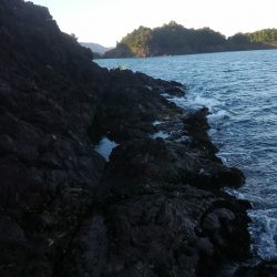 秋イカとチョイ投げキス