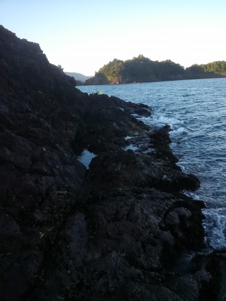 秋イカとチョイ投げキス