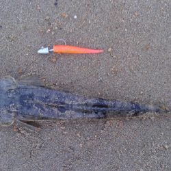 久美浜湾神崎周辺にて