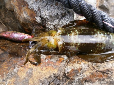 安心しました。