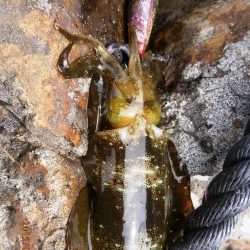 安心しました。