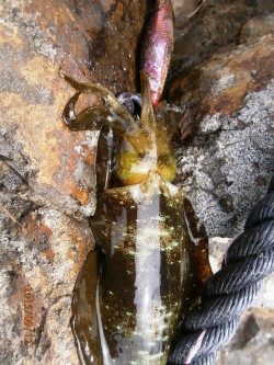 安心しました。