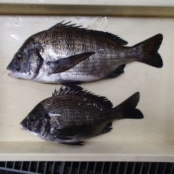 アツい‥…………