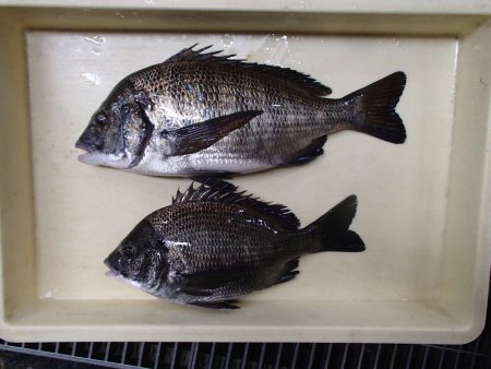 アツい‥…………