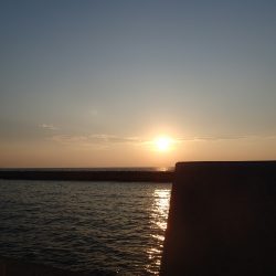 キス釣りリベンジ②