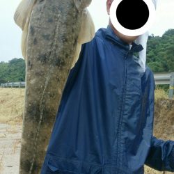 雨で仕事が休みになったので、朝二時間だけ