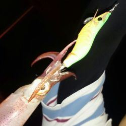 ライトエギング