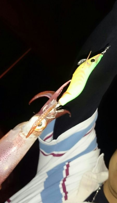 ライトエギング