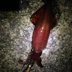 ウネリに苦戦