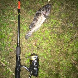 仕事終わり短時間釣行