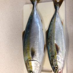 加太にショアジギ調査に行ってきました