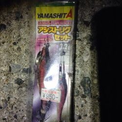 落とし込み！！