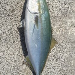 EARLY IN THE EVENING釣行