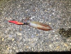 仕事終りに、、、