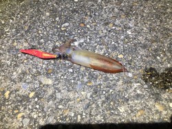 仕事終りに、、、