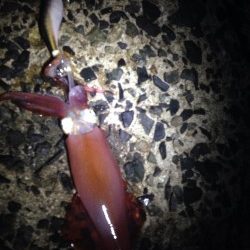 シルバーウィーク前夜