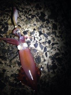 シルバーウィーク前夜