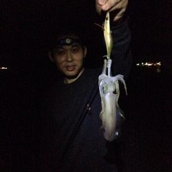 数年ぶりにエギング