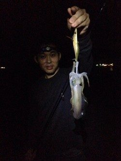 数年ぶりにエギング