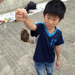 アジュール舞子でファミリーフィッシング