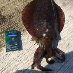 朝から夕方まで！