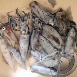 ただただ釣りまくる！