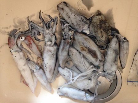 ただただ釣りまくる！