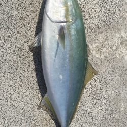 EARLY IN THE EVENING釣行