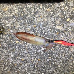 仕事終りに、、、