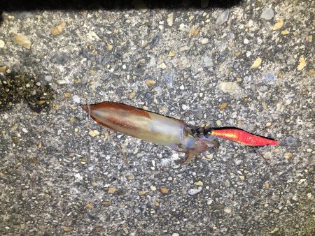 仕事終りに、、、