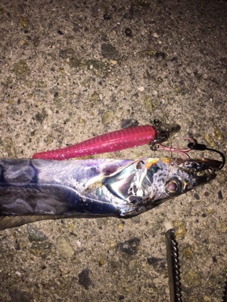 大阪タチウオ開幕！