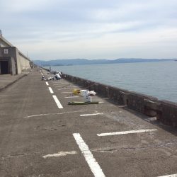 ショアジギ＆ワインド調査