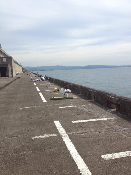 ショアジギ＆ワインド調査