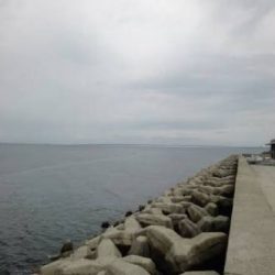 タッチー来ました！